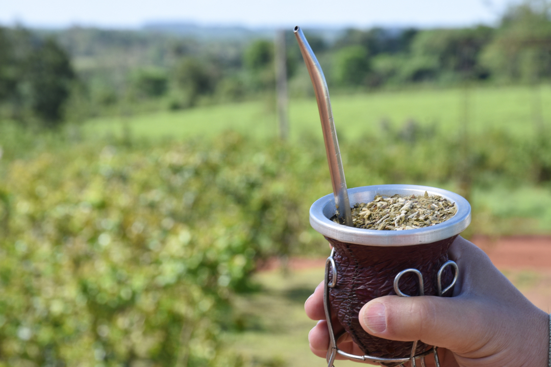 Fuerte repunte del consumo de yerba mate en el país: Misiones abastece el 86% de la demanda